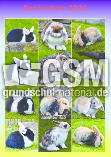Kaninchen_Kalender_2021_1.pdf